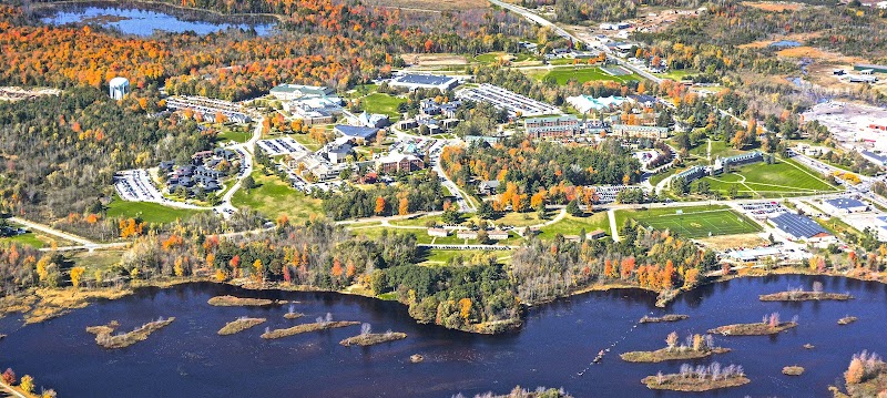 Clarkson University campus