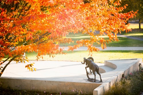 Delaware Valley University campus