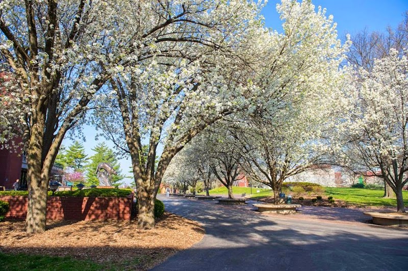 Southern Illinois University Edwardsville campus