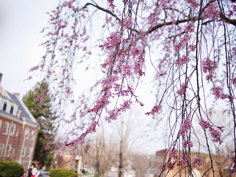 Southern Virginia University campus