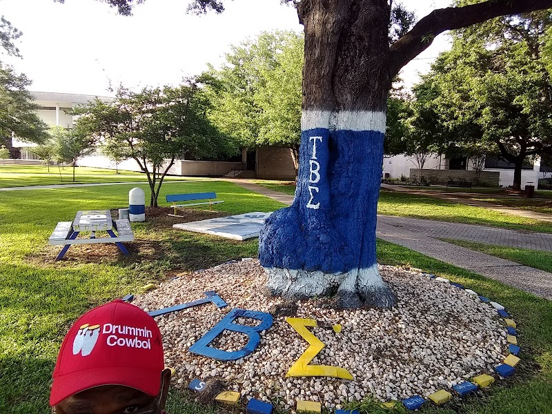 Texas Southern University campus