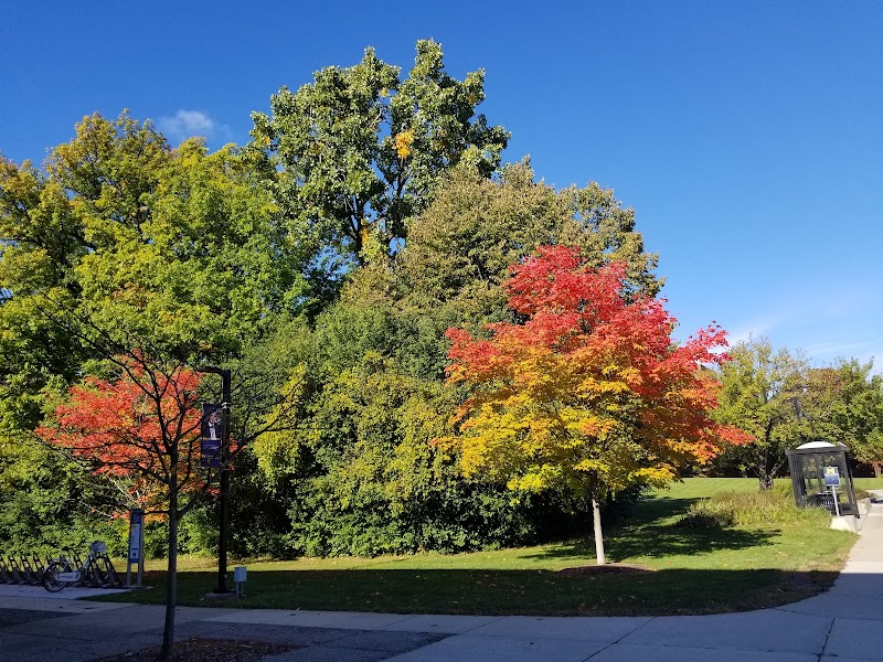 University Of Michigan Dearborn campus