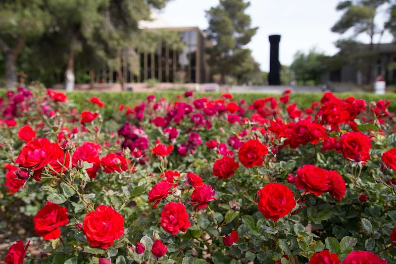 University Of Nevada Las Vegas campus