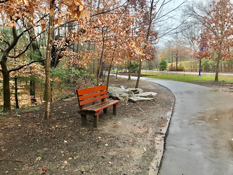 University Of North Carolina Asheville campus